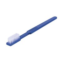 100 Einmalzahnbürsten - mit Zahnpasta - Kunststoff - verschiedene Farben