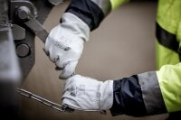 Arbeitshandschuhe | 12 Paar Lederhandschuhe Nitras DRIVER...