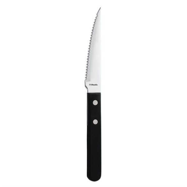 Amefa Steakmesser | 21(L)cm | 24 Messer | Edelstahl