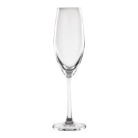 Olympia Cordoba Champagnerflöten 21cl - 12...