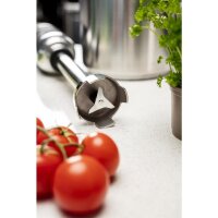 Buffalo Stabmixer mit variabler Geschwindigkeit und...
