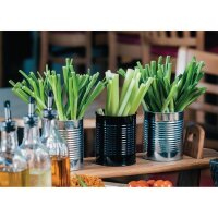 Olympia Frittenbüchse | Stahl | silber | 11 x 9(Ø)cm | 10 Dosen