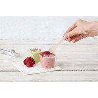 Fiesta Compostable Eislöffel - Holz - biologisch abbaubar - 9,6cm - 1000 Löffel